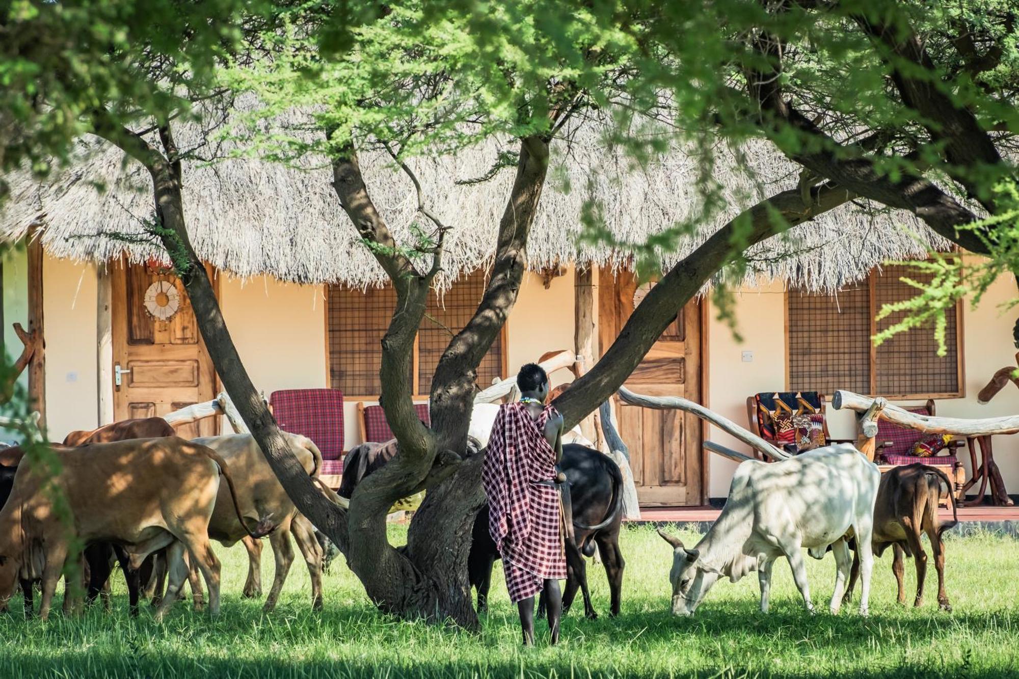 Lake Natron Maasai Giraffe Eco Lodge And Camping Mtowabaga Exterior foto